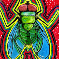 Produções Thiago Assis