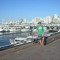 LuisM_Bottaro