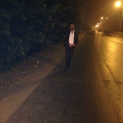 Hassan El Akabawy