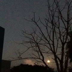 Lynnette Pabón Martínez