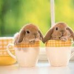 Anouk Van Duijnhoven