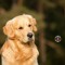 Nina_Schl