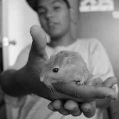 Daniel Ignacio Pizarro