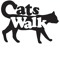 CatsWalk-experimentals