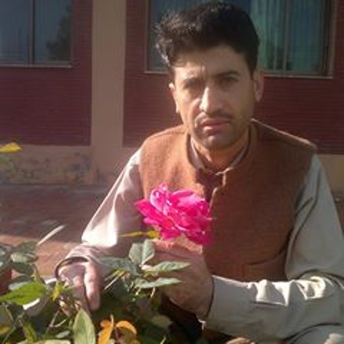 Mir Baiz Khan’s avatar