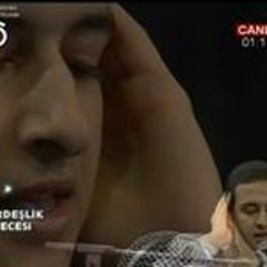 medoedeeb