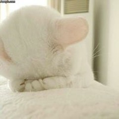 TrAnce