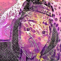 kingmusic5