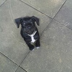 Brigitte Louise Tissen