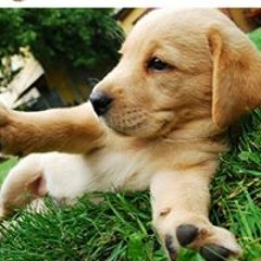 Mathew Adam Wilkerson