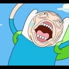 Fin