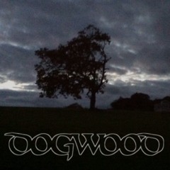 Dogwood