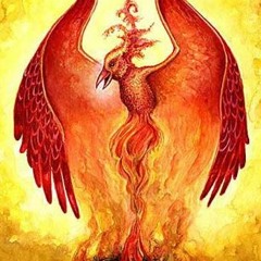 Rise of the Phoenix