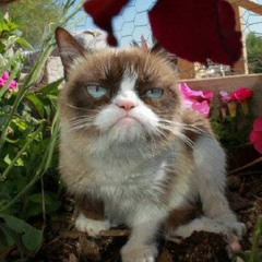 Sirinapa Kim Chansuwan