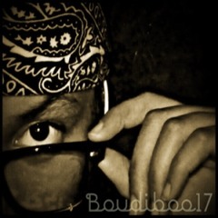 Boudiboo17