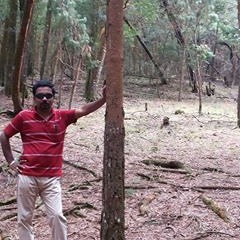 விட்டல்