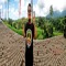 Epong
