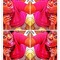 coolgirl23411
