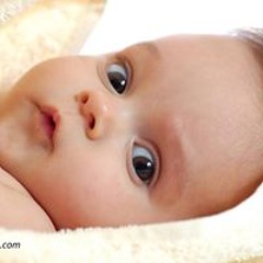 Muhammad Waleed Hafeez