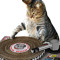 DjSAMpSoNiTe