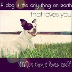 Courtney Dawn Jeffrey