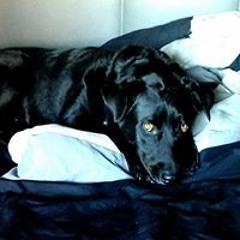 Benjamin D. Bickmore