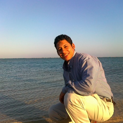 Stream Mohammed Barakat 20 music Listen to songs, albums, playlists