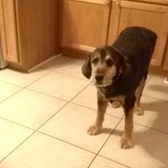 This Day In History MA