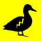 Electro Duck