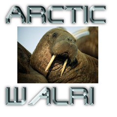 Arctic Walri