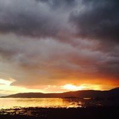 Elizabeth Morrison 11