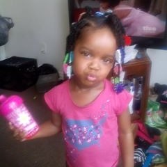 Torry Lilmoe Flowers