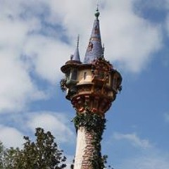 Michele Gutshall Wertz