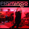 Fresh Flamingo Music