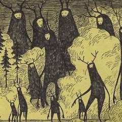 Martin Wallin 2
