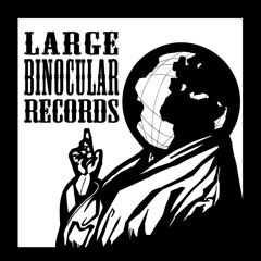 Large Binocular Records