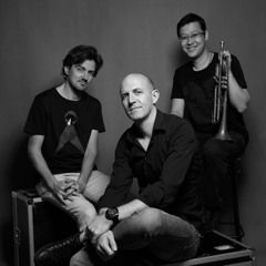 Steinophonic Orkestra