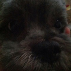 tubie_2