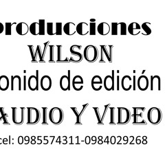 wilson andres