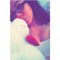 luvvcece