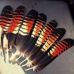 Leroy Puonch Blackwater