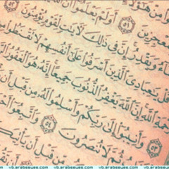 Mohamed Abd ELfattah 12