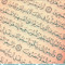 Mohamed Abd ELfattah 12