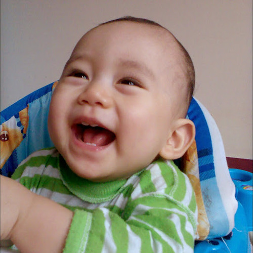 nguyên khang