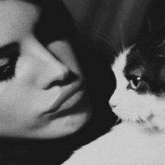 Loly