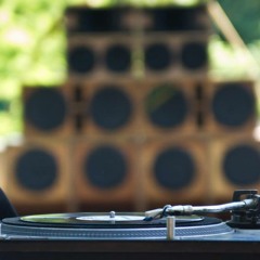 Massive Gox Dubwise Sound