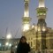 Mervat Ahmed El-Halawany