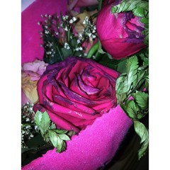 Amal