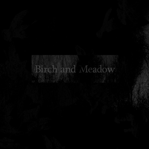 Birch & Meadow - Before I became a wind