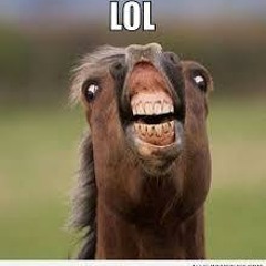 Stanley James Wong Jr